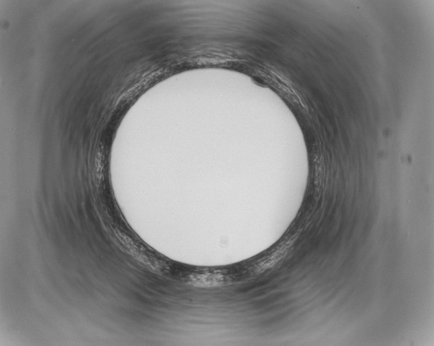 X0000085780362200704131835