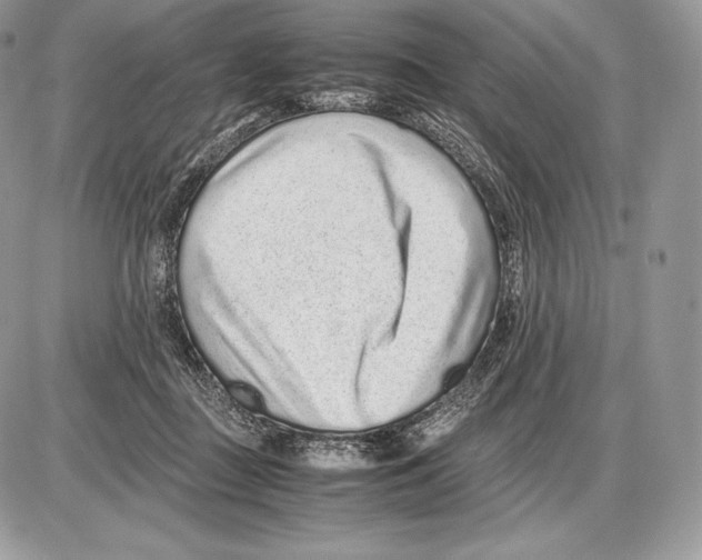 X0000085780363200704131835