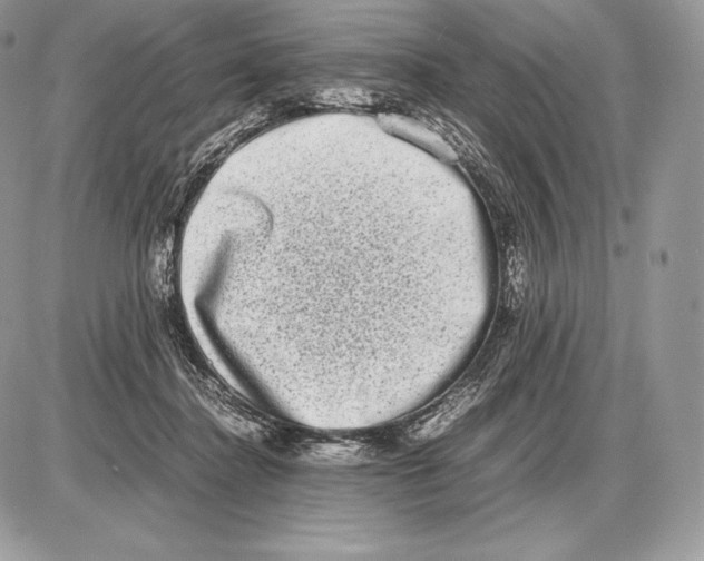 X0000085780364200704131835