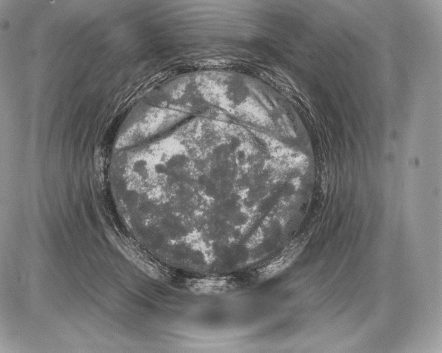 X0000085780366200704131835