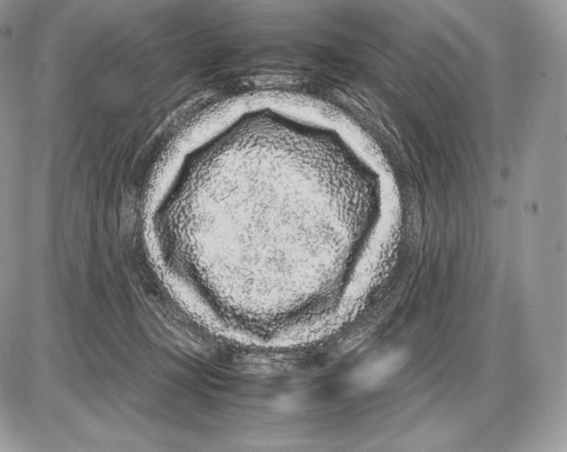 X0000085780367200704131835