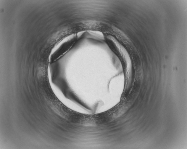 X0000085780368200704131835