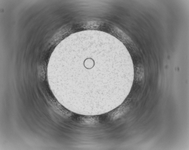 X0000085780370200704131835