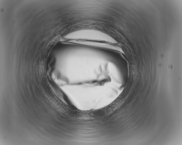 X0000085780372200704131835