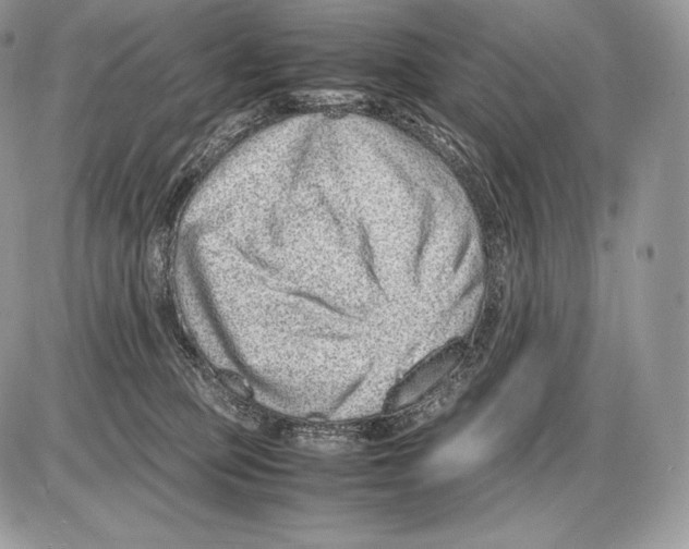 X0000085780373200704131835