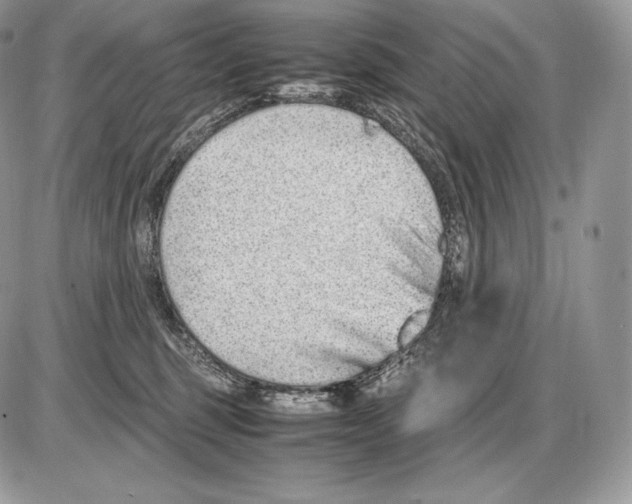 X0000085780375200704131835