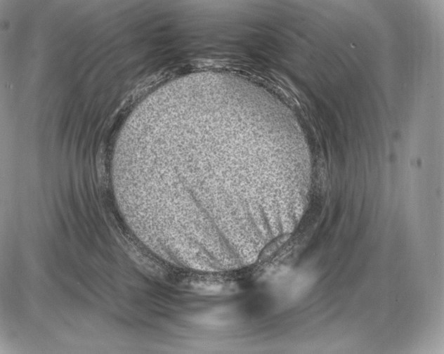 X0000085780377200704131835