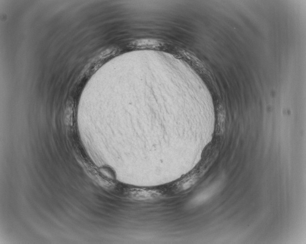 X0000085780379200704131835