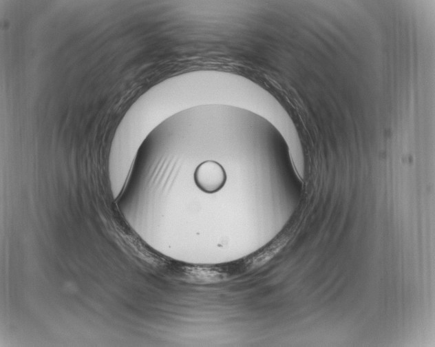 X0000085780380200704131835