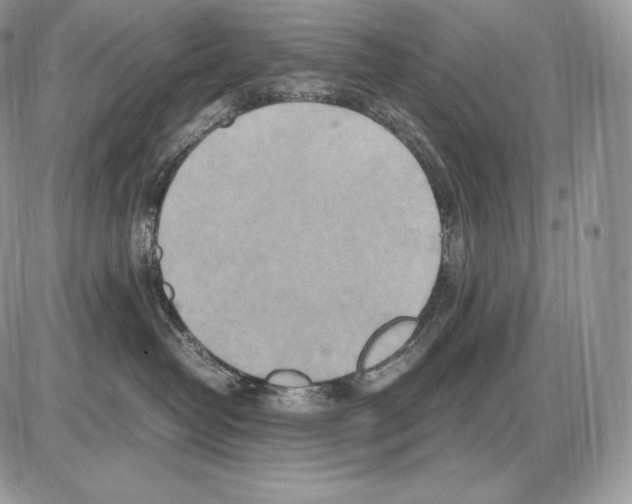 X0000085780382200704131835