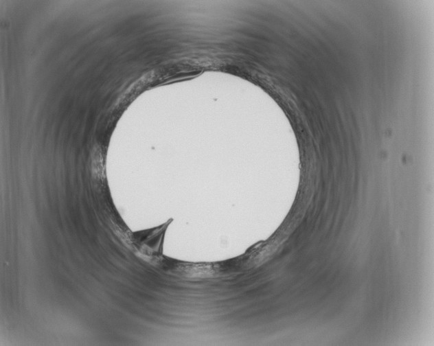 X0000085780384200704131835