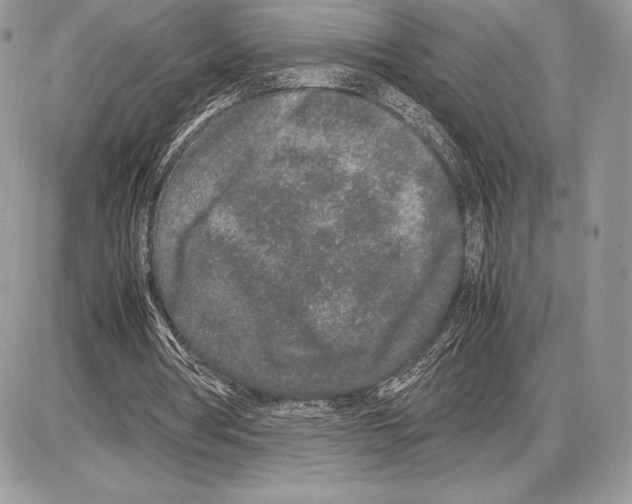 X0000085780386200704131834