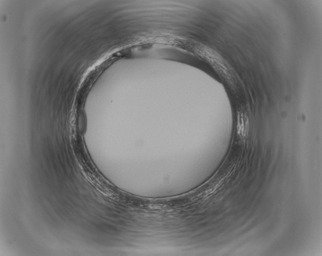 X0000085780388200704131834