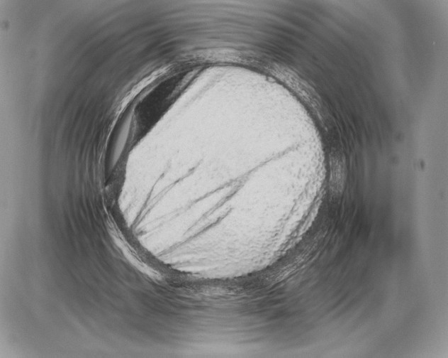 X0000085780390200704131834