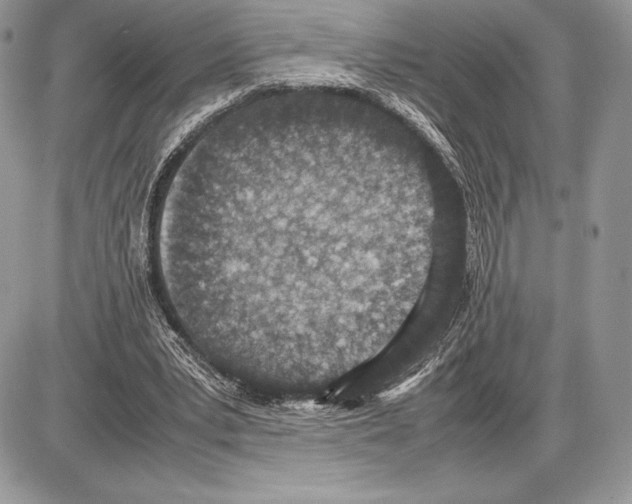 X0000085780391200704131834