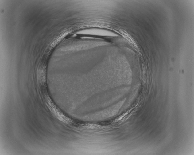 X0000085780393200704131834