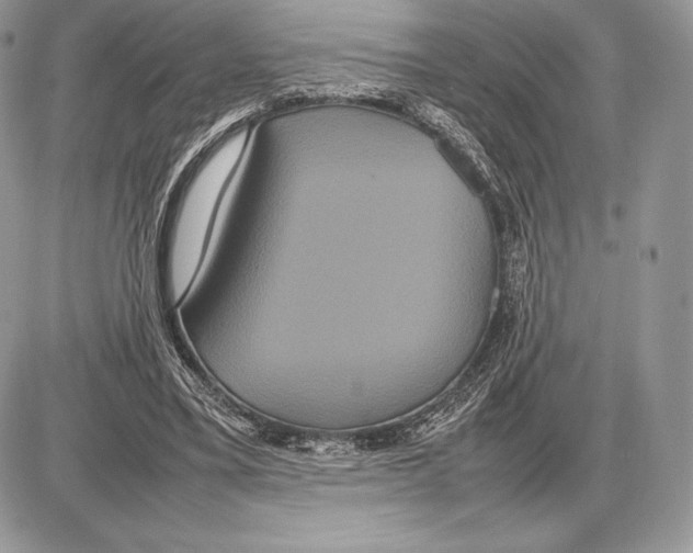 X0000085780395200704131834