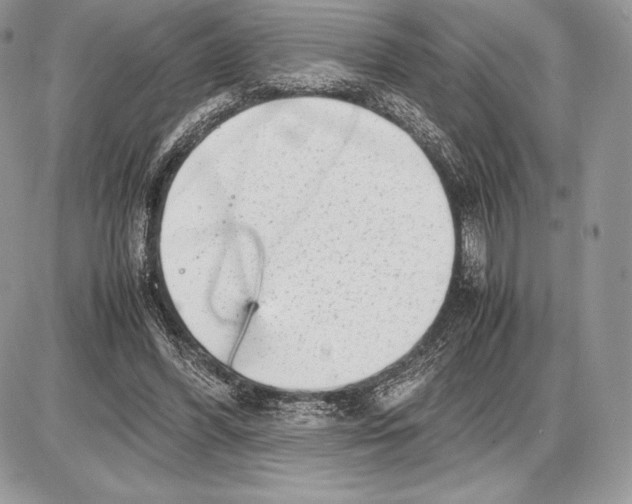 X0000085780396200704131834