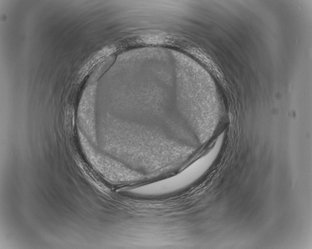 X0000085780397200704131834