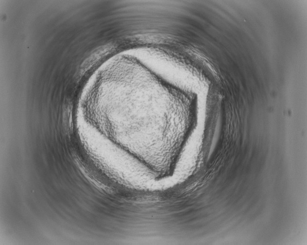 X0000085780398200704131834