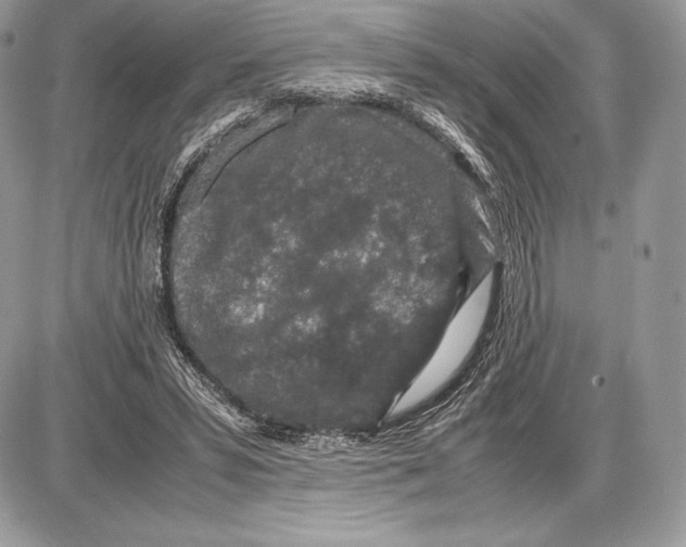 X0000085780399200704131834