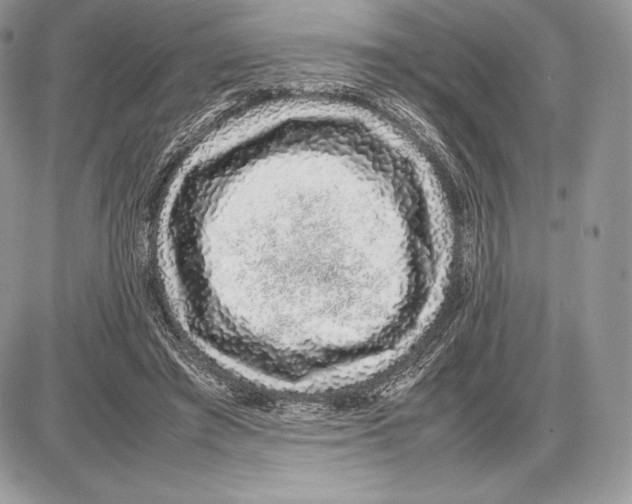 X0000085780401200704131834