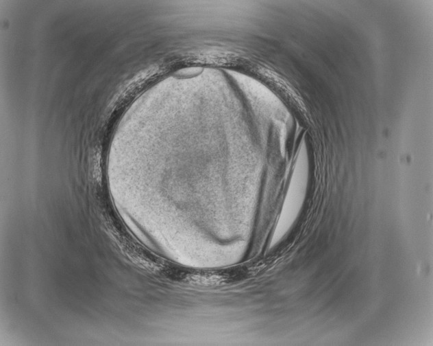 X0000085780403200704131834