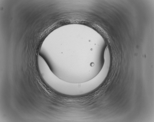 X0000085780405200704131834