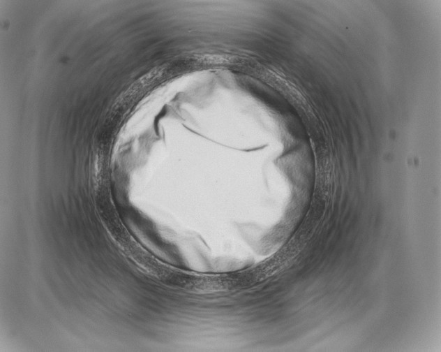 X0000085780406200704131834