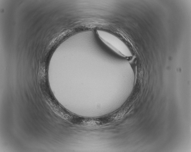 X0000085780407200704131834