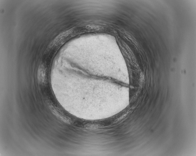 X0000085780408200704131834