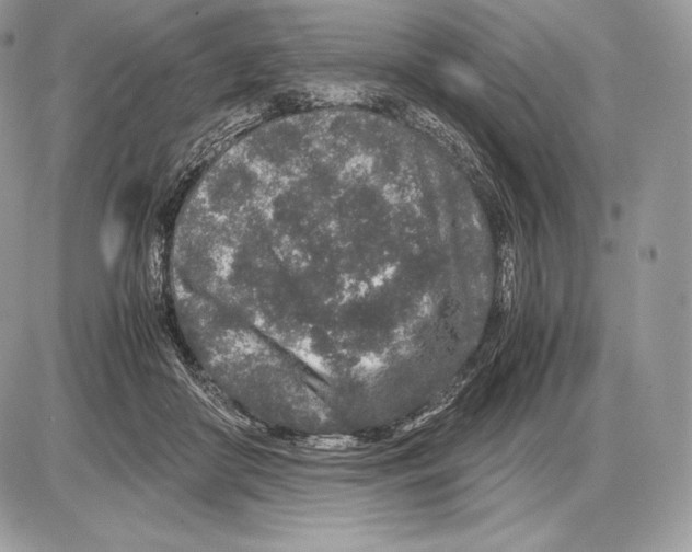 X0000085780410200704131834