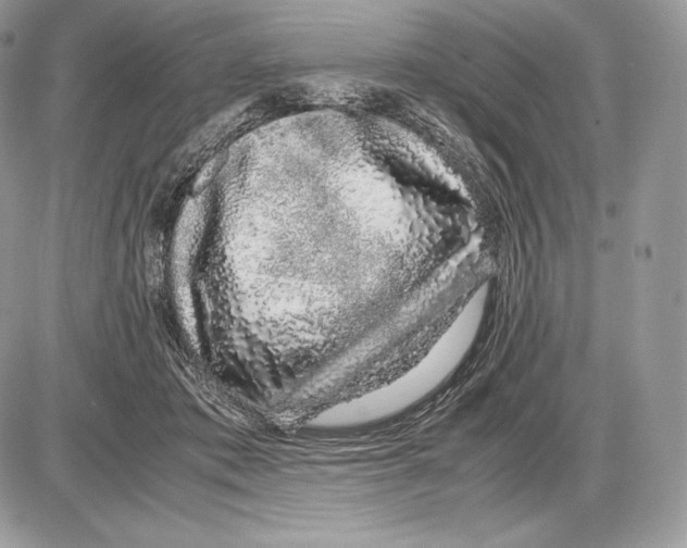 X0000085780413200704131834