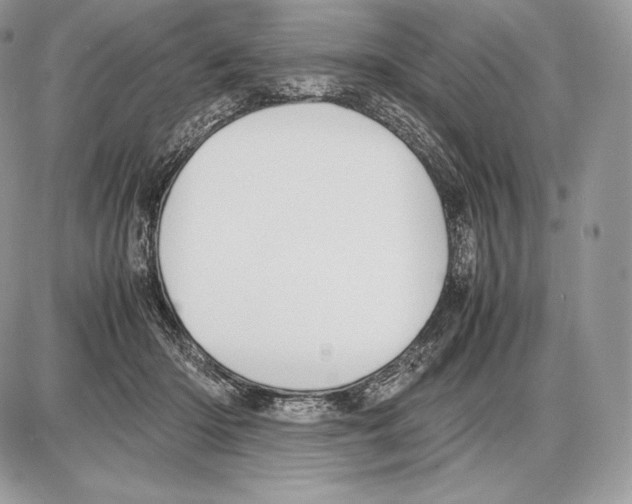 X0000085780414200704131834