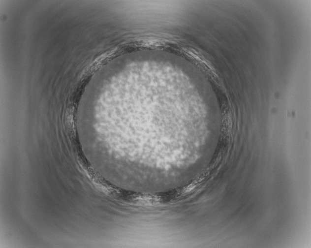 X0000085780415200704131834