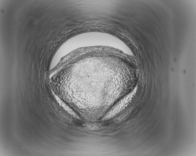 X0000085780417200704131834