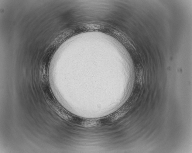 X0000085780418200704131834