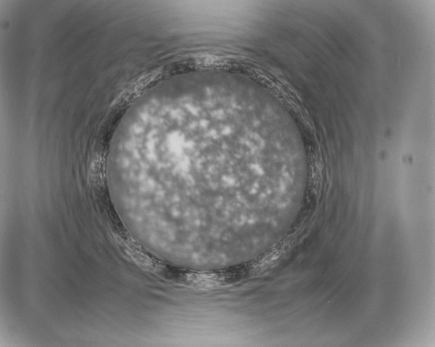 X0000085780419200704131834