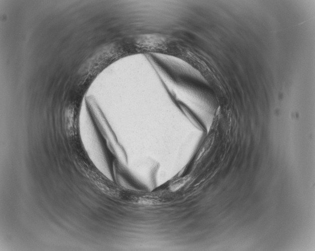 X0000085780420200704131834