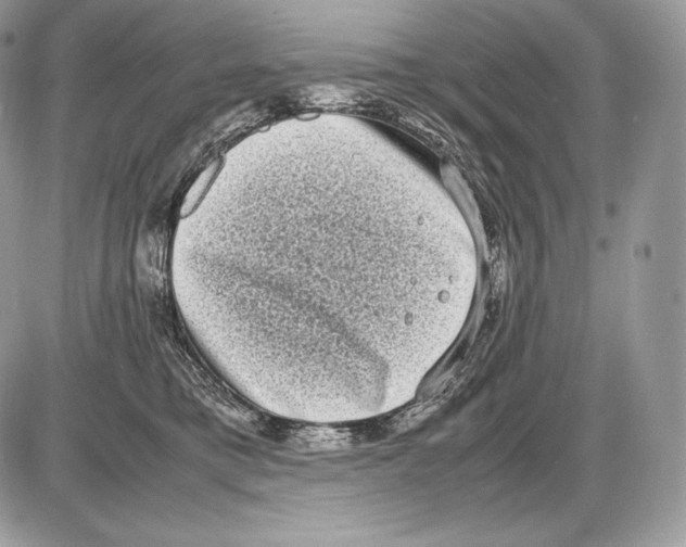 X0000085780421200704131834