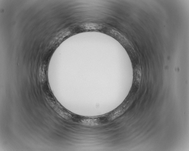 X0000085780422200704131834