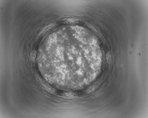 X0000085780423200704131834