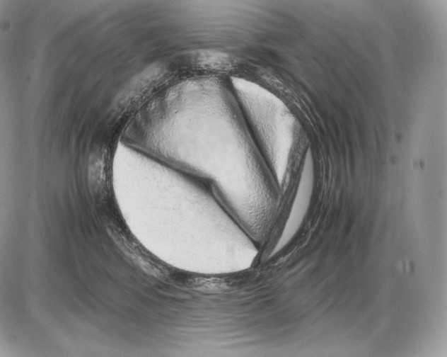 X0000085780424200704131834