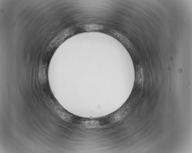 X0000085780426200704131834