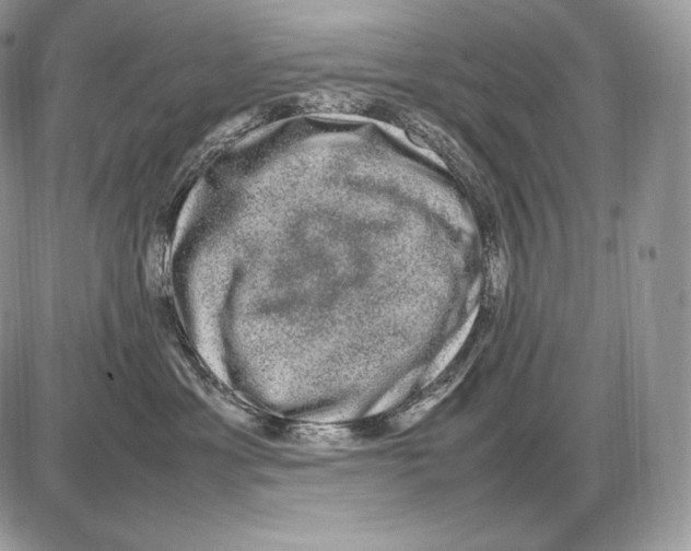 X0000085780429200704131834