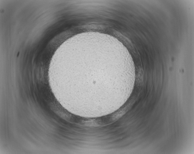 X0000085780430200704131834