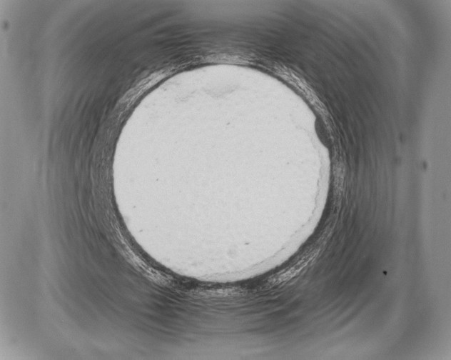 X0000085780433200704131833