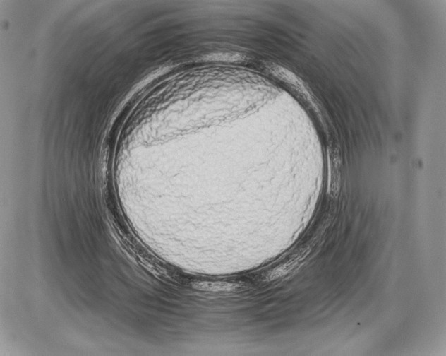 X0000085780435200704131833