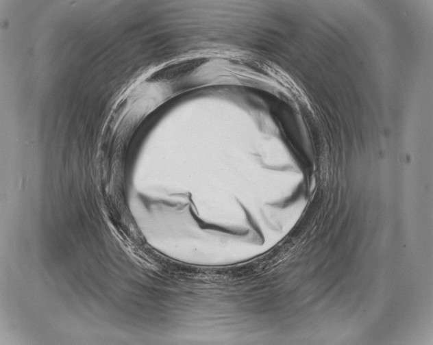 X0000085780436200704131833