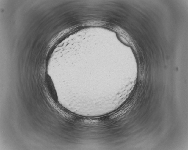 X0000085780437200704131833